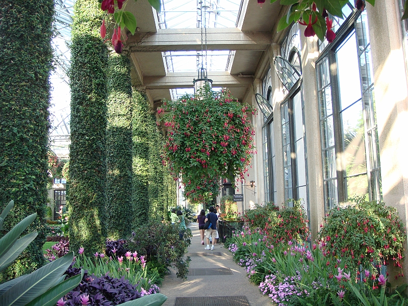 417 Longwood Gardens [2008 August 23].JPG - Longwood Gardens in Pennsylvania